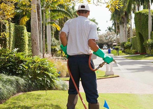 About Derby IA Pest Control Pros